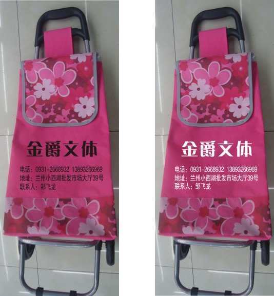 ݸ䶩չ