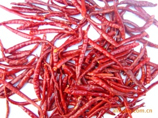 ز----ް