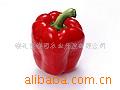 ڼʽʽʽ
