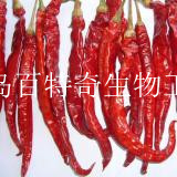 ӡȽڸTEJA