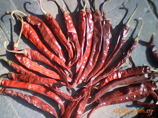 ÿս۴2010ָ