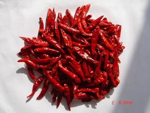 2012곯콷ChaoTianChili