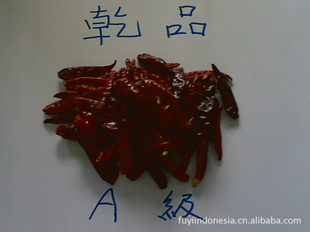 ȸ/콷