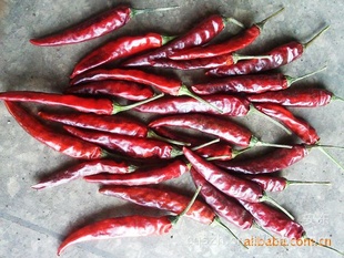 ֱ޽ް