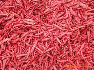 ӹƷӹ