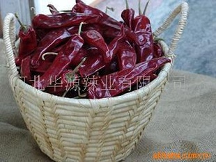 ҳڼ涼