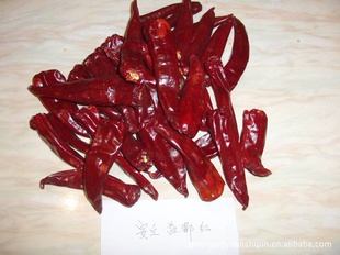 ʢԴʳƷ涼