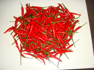 زȾС죬Ǯؼ12