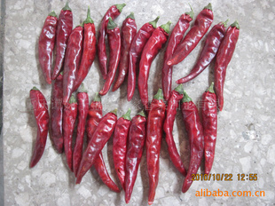 ʯ5޽425