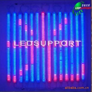 16ȫLEDLED[Ͱ]