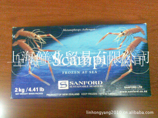 ˹ɱ/ŲϺСϺϼСϺ2