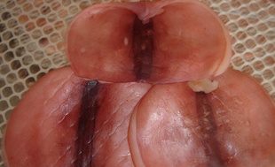 ڱ׼ĵζ壨ؼ۳ۣ