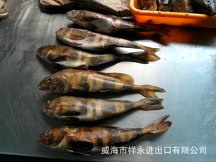 ˹600-800G,800+