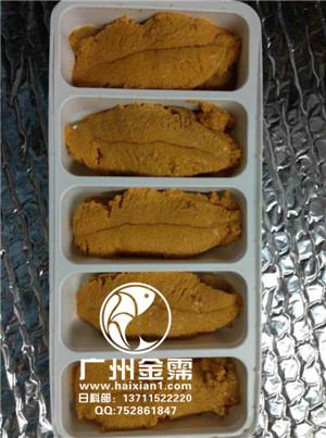 Ӧձ˾ϼô庣