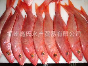 ӡ䶳