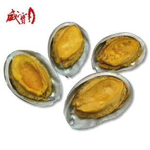ҰFDɱݷʳƺز15/ֻ500g