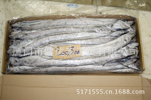 ޽䶳㺣ƷһƷ300-1000G/