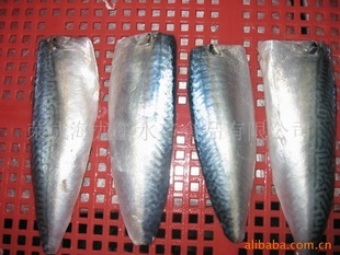 Ƭmackerel