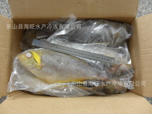 ƼĸּӹˮƷ䶳ڸ750-1000g/