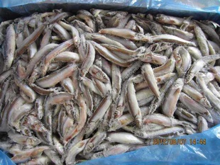 Ųڶഺ