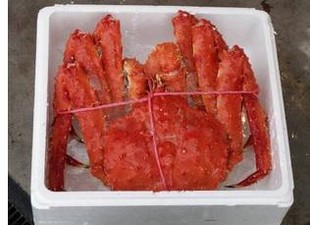 ƷƷз