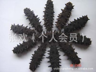 现货批发福建淡干海参规格,一手货源