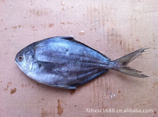 2012麣䶳
