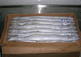 350-450۸񶳴