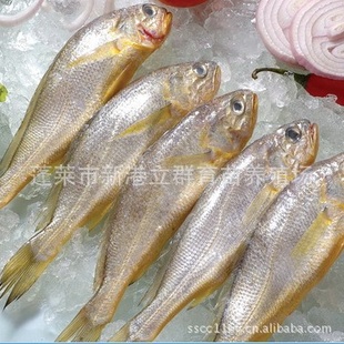 䶳ҰС50/6070/905kg/