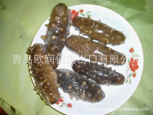 批发即食海参、进口海参,干海参