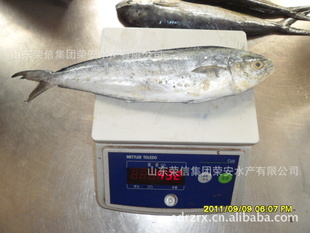 ʻƺ䶳ˮƷͷ