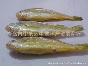ƻൺѩƵغƻ㣬ˮƷ