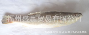 ʢӮó׸ʴ
