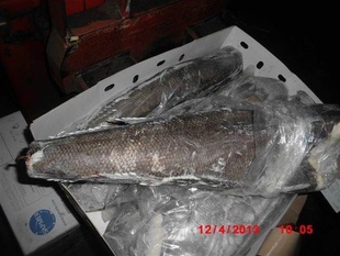 ڷ(1-8KG)160Ԫ/KG