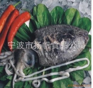 Ҹߵ׵֬䶳īī