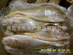 īСƹ/С㣨100-300g)