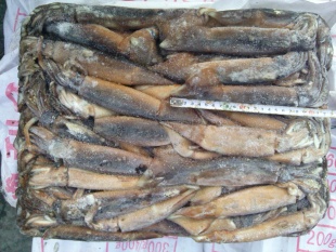 ͢150—200g
