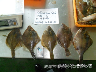 䶳ƽS250G