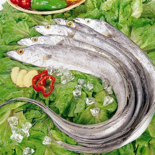 ֱٶʳƷ---ٶ150-200g9.5kg