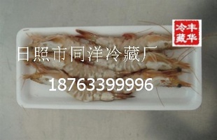 䶳ִϺ