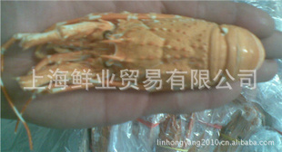 춳СϺԭ10kg/(2ϣ