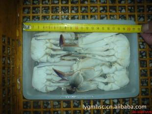 500䶳Ұз810