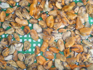 ں⣨ˣ300-500