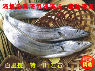 ƷʴҰѡؼϡв