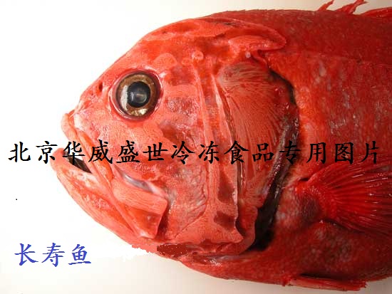 Ӧ