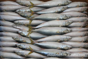 ռ㣨150—200g)