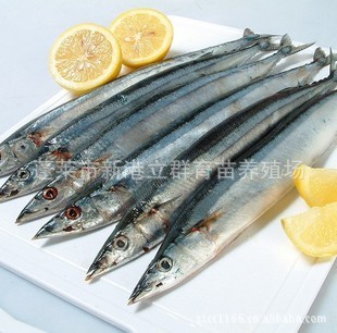 䶳12Ź10kg/