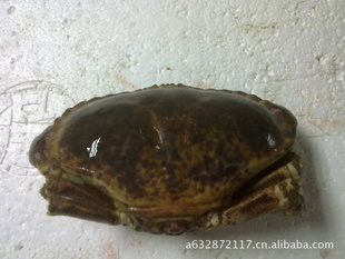 Ӣз