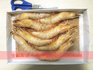 ҰϺ8ͷٶ䶳ҰϺ