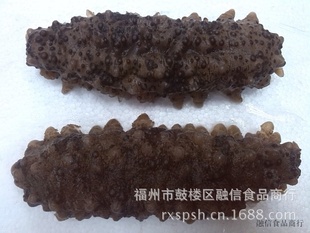 批发鲜南美海参